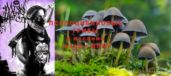 ПСИЛОЦИБИНОВЫЕ ГРИБЫ Абдулино