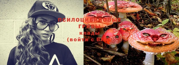 ПСИЛОЦИБИНОВЫЕ ГРИБЫ Абдулино