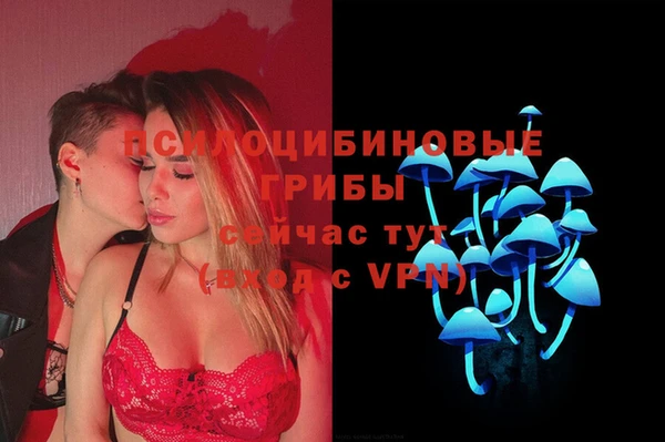 ПСИЛОЦИБИНОВЫЕ ГРИБЫ Абинск