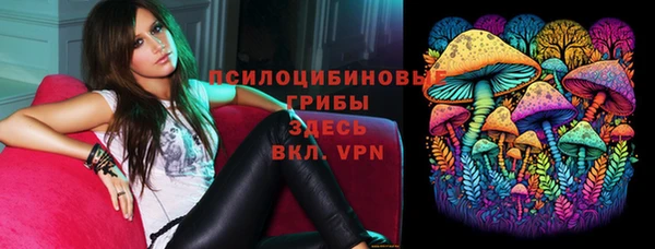 ПСИЛОЦИБИНОВЫЕ ГРИБЫ Абдулино