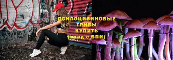 ПСИЛОЦИБИНОВЫЕ ГРИБЫ Абинск
