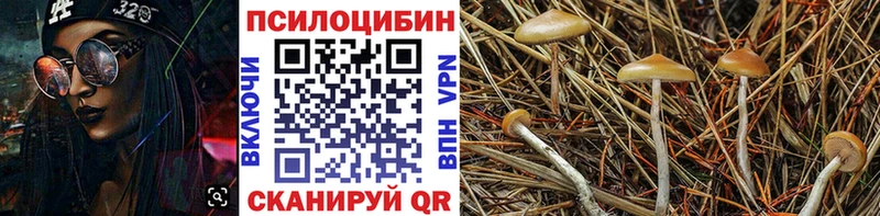 Псилоцибиновые грибы GOLDEN TEACHER ОМГ ОМГ ссылки Магнитогорск darknet состав наркотики