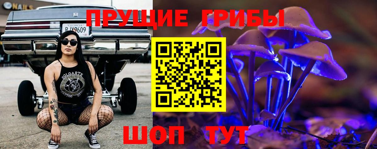 Галлюциногенные грибы Psilocybine cubensis  Вход с VPN  Магнитогорск 