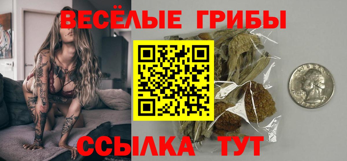 Псилоцибиновые грибы Magic Shrooms Магнитогорск